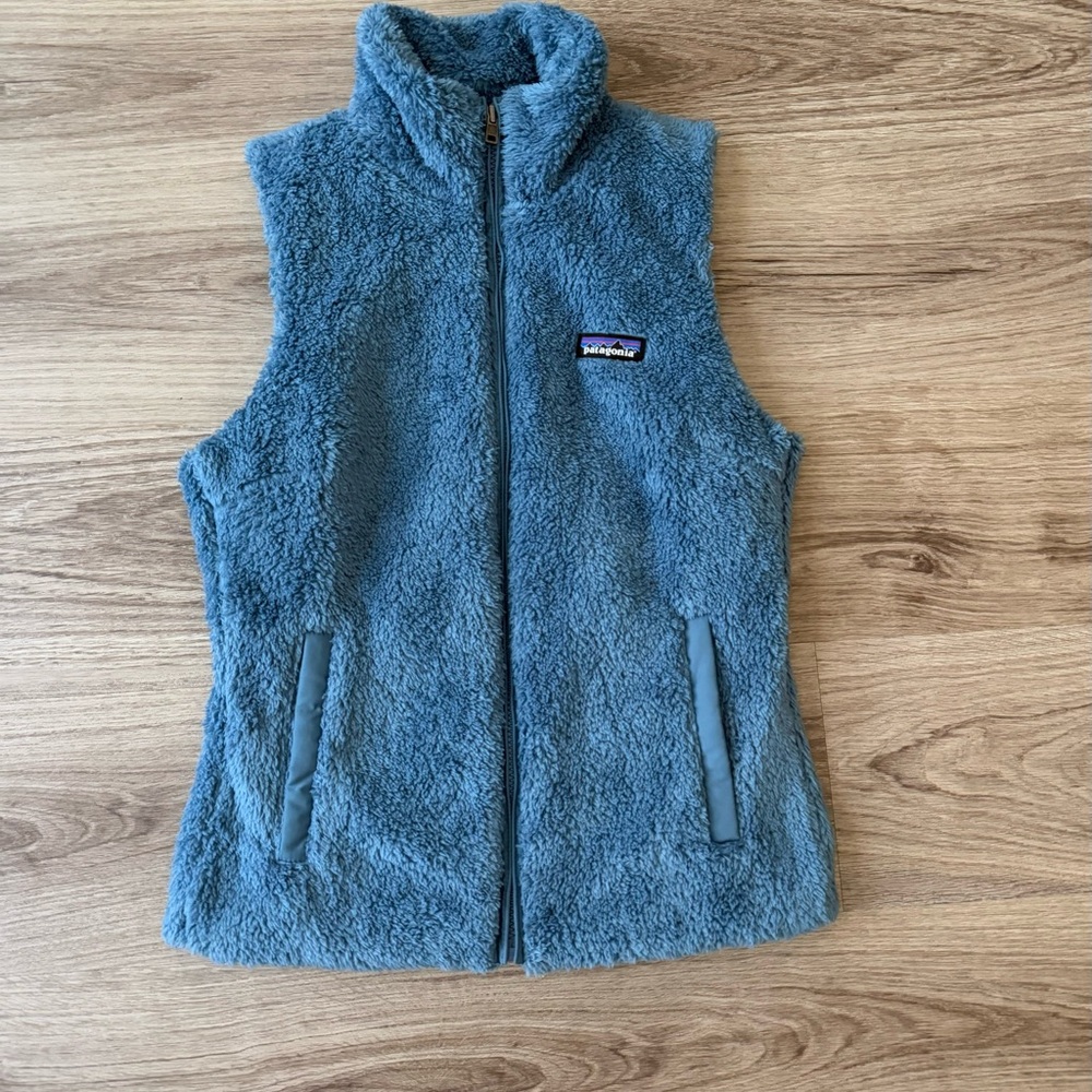 Patagonia Blue Fleece Vest